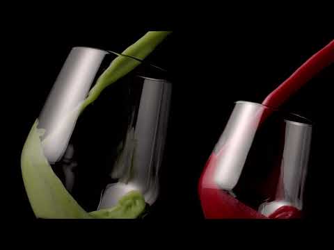 სმეგის ნელი გამოწურვის წვენსაწური  |  Slow Juicer