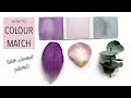 How To Colour Match With A Limited Palette! (It's easier than you think!)