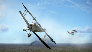 Saving Private Haupt | IL-2 Flying Circus