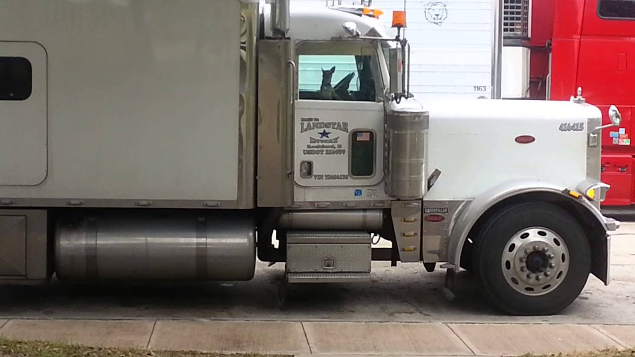 новый дальнобой по америке видео. трак драйвер в сша. дальнобой ютуб. новый дальнобой по америке видео. дальнобойщики сша 2020.