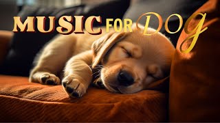 Healing Sleep Music For Dogs! Dog's Favorite Music  Reduce Dog Stress when Home Alone  Sleep Music