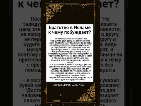 Братство в Исламе