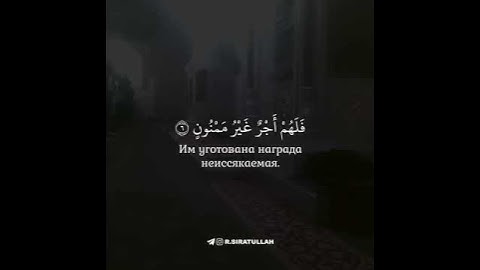 سورة التين لفضيلة القارئ سيرات الله رؤوبوف |حالات واتس 🧡🕊|