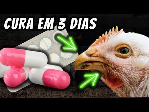 (CURA EM 3