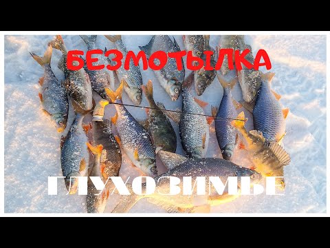 БЕЗМОТЫЛКА. ГЛУХОЗИМЬЕ. Поклёвок