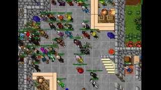 Tibia first time on Yanara