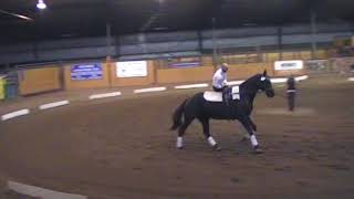 Westwind Todd Griffiths Technical Round 2 Canter Aa 2017 Provincial Championships