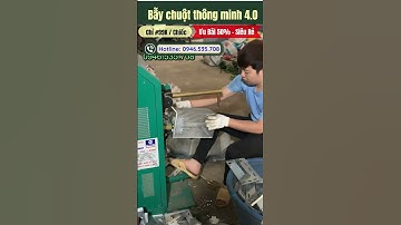 Bẫy chuột 1 lần 10 con - Bẫy chuột thông minh 2025