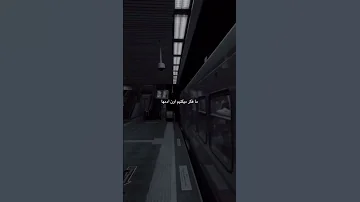 قسمت چهارم زرنكى اى كه روى اعتمادسواربشه مثل جاده صاف كنى ميمونه كه زودتر مى رسى اما ته نداره 