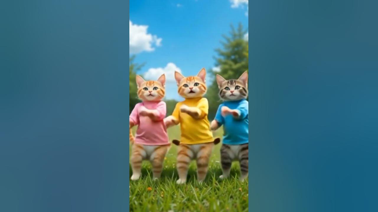 cat's dance#videoshort #cover #dj #remix #cat #cute #funny #animasulucu #kucing #catdance #cats