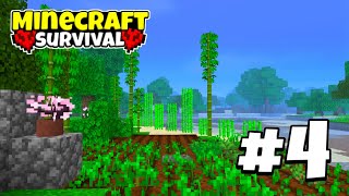 The Best Decorative Farm in Minecraft Survival Ep 4