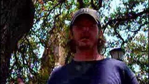 Fall From Grace Part II