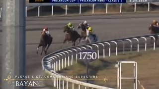 4Th Henry Cojuanco Cup - The Most Awaited Stakes Race Of The Year - Hapi Racing Festival 02202020