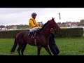 FINALE 54 LJKI GALOPSKE TRKE