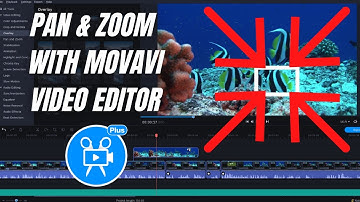 How to Pan and Zoom in Movavi Video Editor Plus 2021/2020