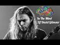 In The Mind Of: David Gilmour "Time" Pink Floyd Guitar Improvisation