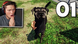 Animal Shelter Simulator  Part 1  The Beginning