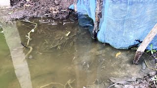 Small Fish Trap and Play Fun