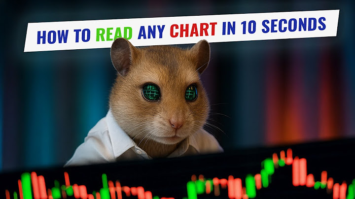 Hamster Feed: The Formula Behind Price, Demand & Value