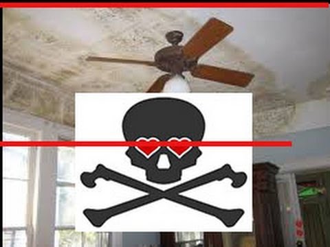 mold-removal-sacramento---(877)-598-7097---mold-remediation-and-mold-inspection