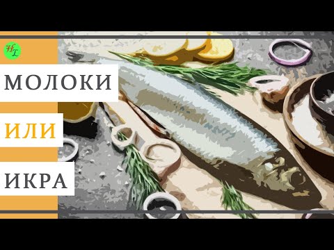 Лайфхак! Легко определяем пол сельди! Икра или молоки?