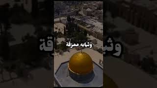 قصة عمر بن الخطاب وفتح قدس 🤍 الشيخ بدر المشاري