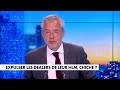Le billet d'humeur de Romain Desarbres : «Expulser les dealers de leur HLM, chiche ? »