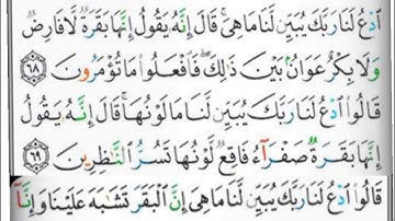 سورة البقرة حفظ وتكرار الآيات 68-69-70 #فجاءة_خاطرة