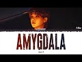 Agust d   amygdala 1 hour loop lyrics  1 