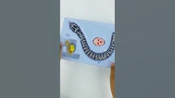 Rc Snake Unboxing 🐍 Remote Control Snake 🐍 Rc Gadgets 🐍 New Gadget 2025 #shorts #snake #himeshsingh