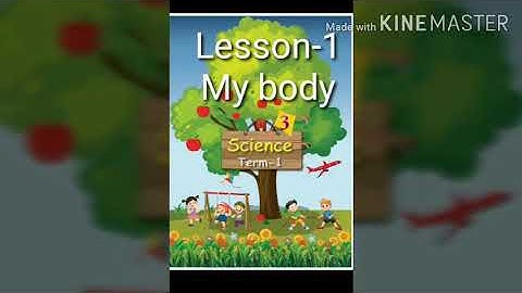 class 3 - Science Samacheer- Term-1 sense organ and its protection