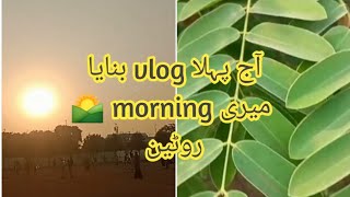 AJ  Meny bnaya pehla vlog ? Sadaf Vlog Official || morning ? routine|| or Kuch Dil ki baten