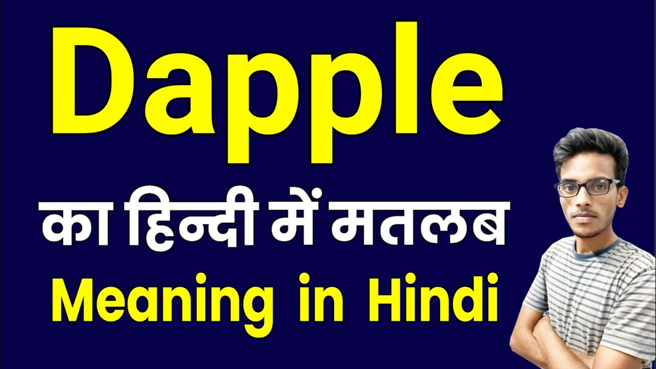 Dapple meaning in hindi | dapple ka matlab kya hota hai | dapple in hindi | daily use words