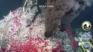 15 Second Science - Microbial Dark Energy