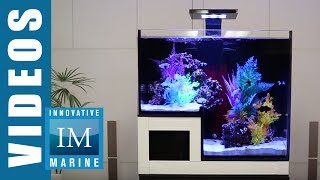 NUVO Concept Drop Off Aquarium - Abyss Panorama Glass Series