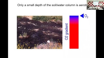 Introduction to Synthetic Biology - Day 9 Part 2 #swayamprabha #ch17sp