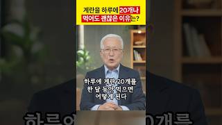 하루에 계란 20개 먹어도 괜찮은 이유 #LDL #콜레스테롤 #계란요리