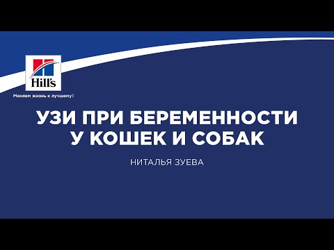 Вебинар на тему: “УЗИ при беременности у кошек и собак”. Лектор - Наталья Зуева.