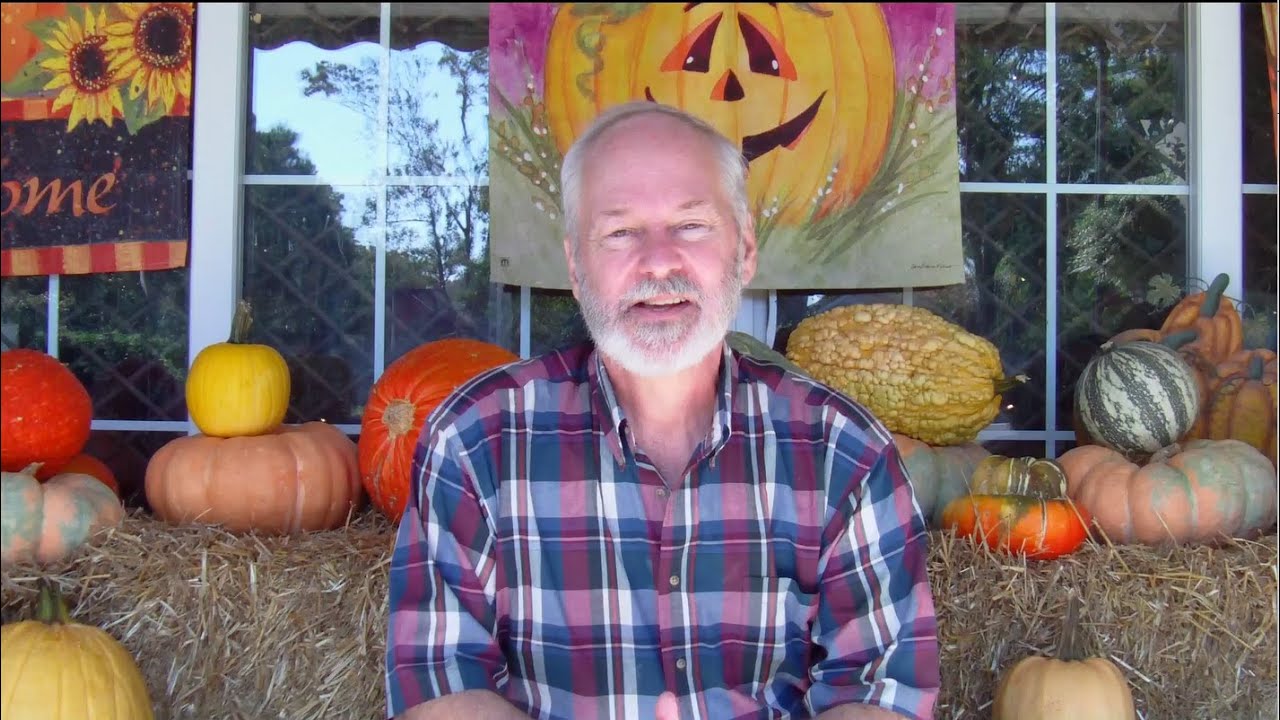 Arcadia Promo 3 2023 YouTube