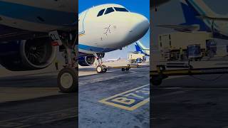Flight 321airbas#aviation #youtub #airport #travel #indigo #trending  #varal shorts#indigo 321