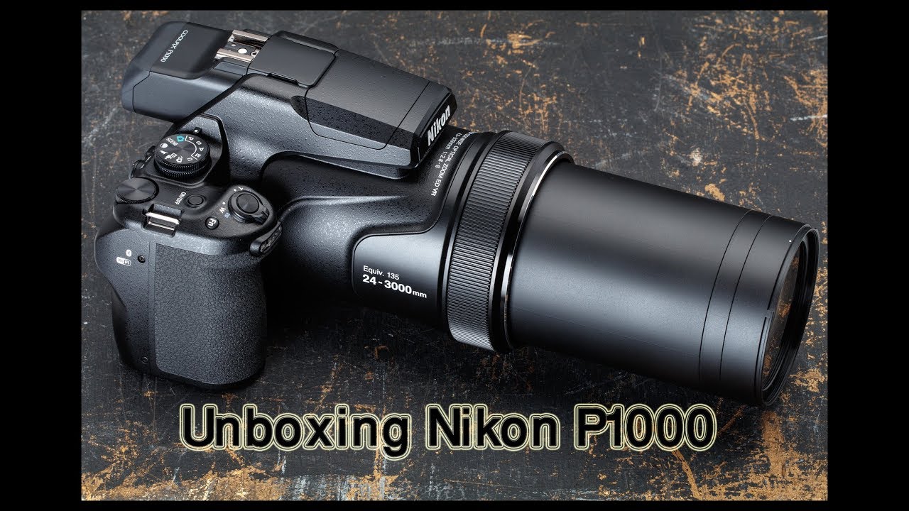 Nikon p1000 примеры фото