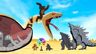 Rescue All Family GODZILLA EARTH \& KONG In The Belly Of GIANT PYTHON - FUNNY CARTOON