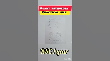 Botany practical file #bsc 1 year #plant pathology file#shorts #shortvideo #