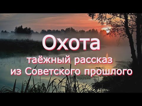 Аудиокнига Ю.К.Насыбуллин "Охота" таёжный рассказ из Советского прошлого. Читает Марина Багинская