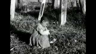 İSTANBUL 1960.YILLAR (Motion Video)