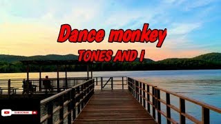 Dance monkey Resimi