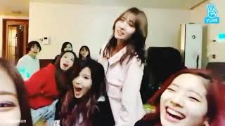 Twice being Energetic and Noisy Choice Studio