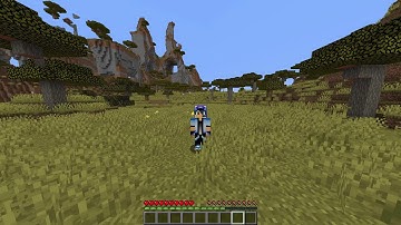 How to Duplicate Items in Minecraft (1.15)