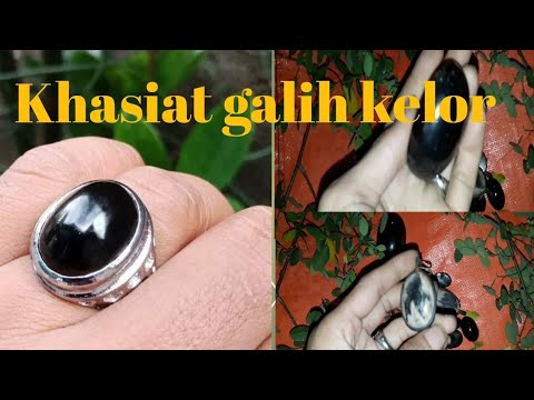 RAJA BATU MUSTIKA INDONESIA (FOSIL KELOR SERAT EMAS) LANGKA. 