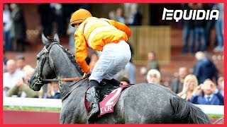 Vidéo de la course PMU QATAR PRIX DOLLAR